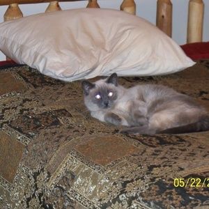 Meet your Posher, Karin